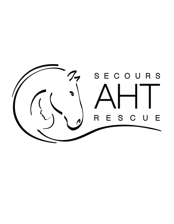 A Horse Tale - Public Store