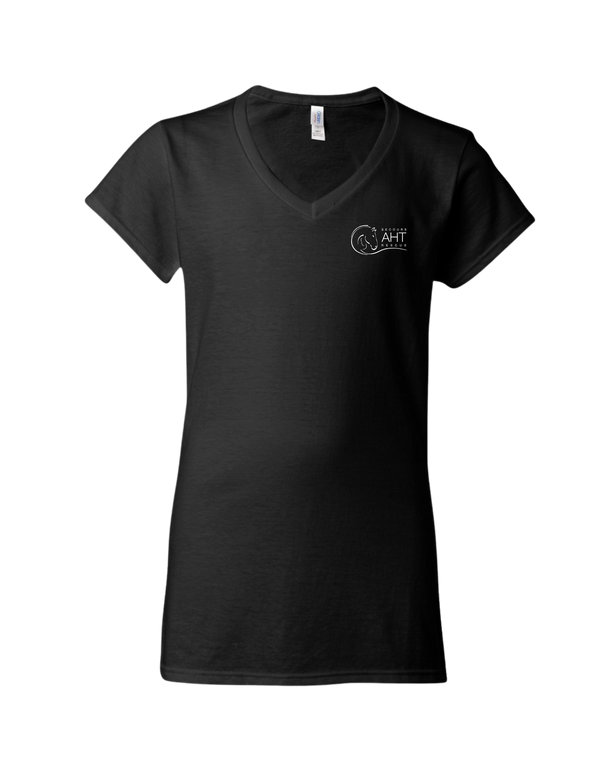 A Horse Tale Women's V Neck T-Shirt