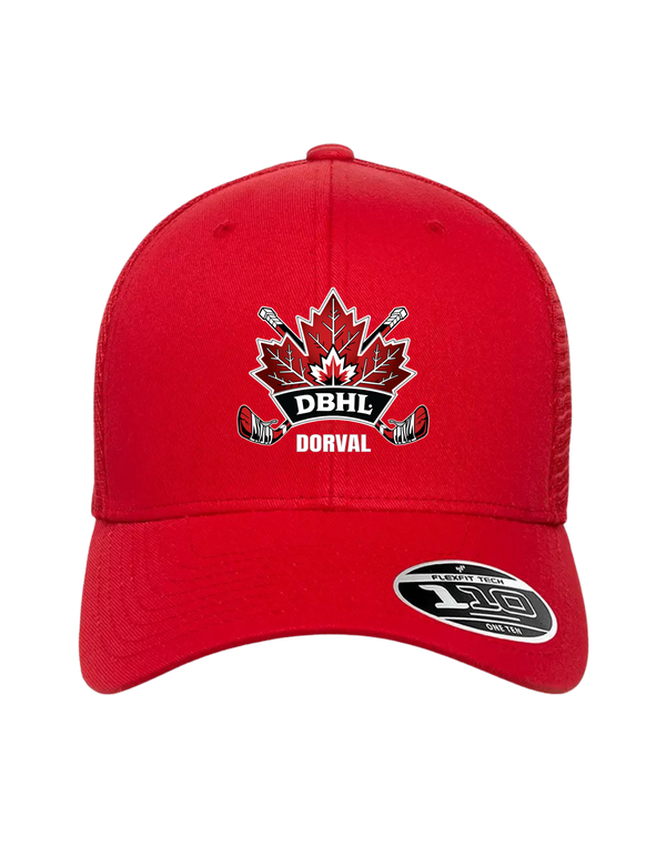 Embroidered DBHL Flexfit Snapback Cap