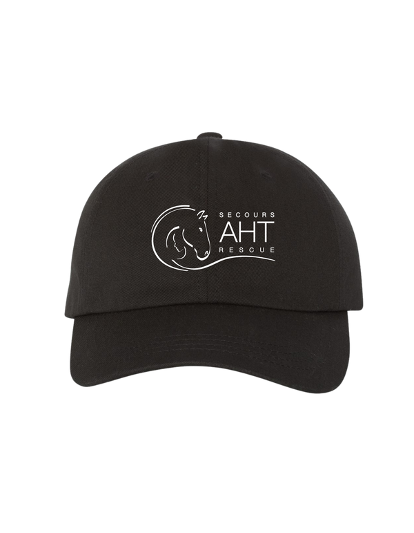 Embroidered A Horse Tale Hat