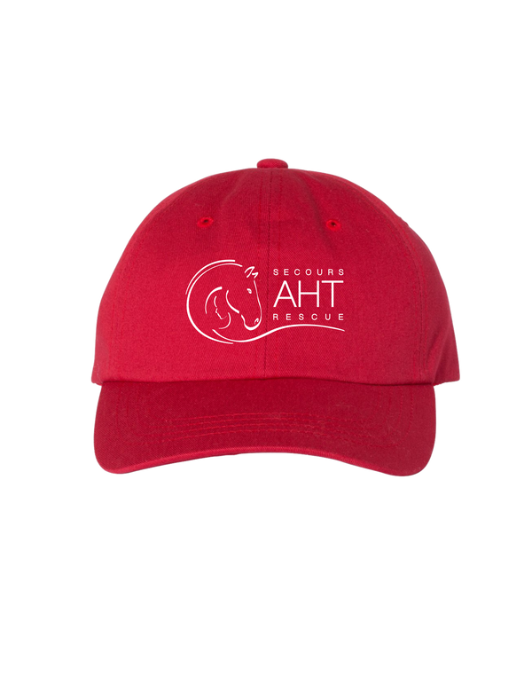 Embroidered A Horse Tale Hat